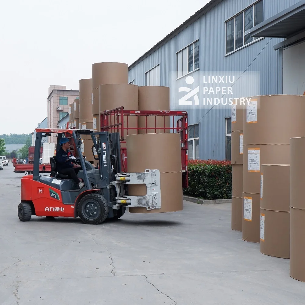 High strength 280 gsm double PE coated paper roll for sturdy paper cups and lunch boxes