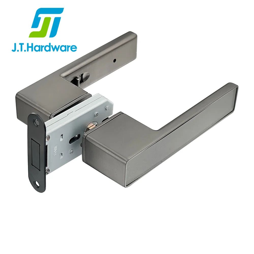 Zinc Alloy Simplified Lever Key Silent Magnetic Lever Handle Bedroom Door Lock