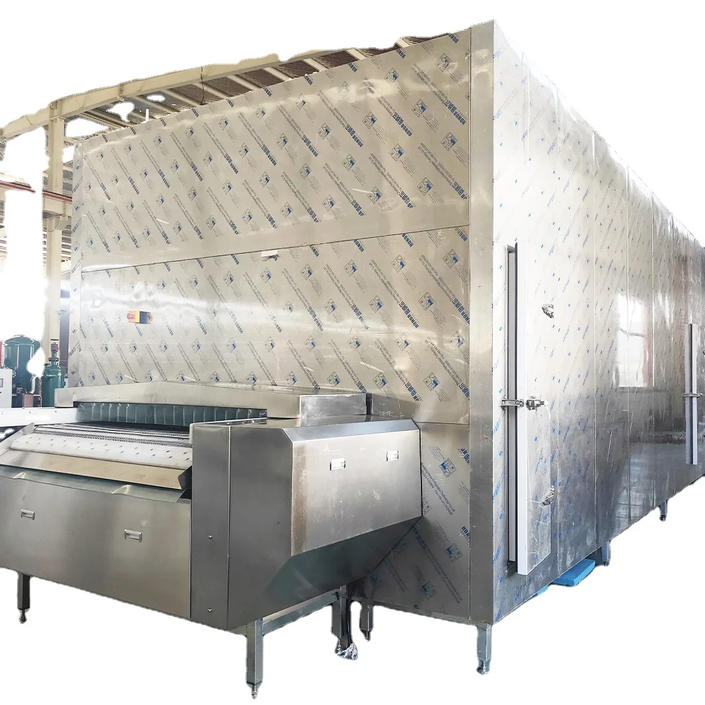 Professional Design Tunnel Type Blast Freezer IQF Freezing Machine Flash Freezing Machine