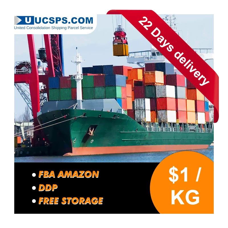 Cheap DDP Sea Delivery Shipping Rates Freight Forwarder to Netherlands