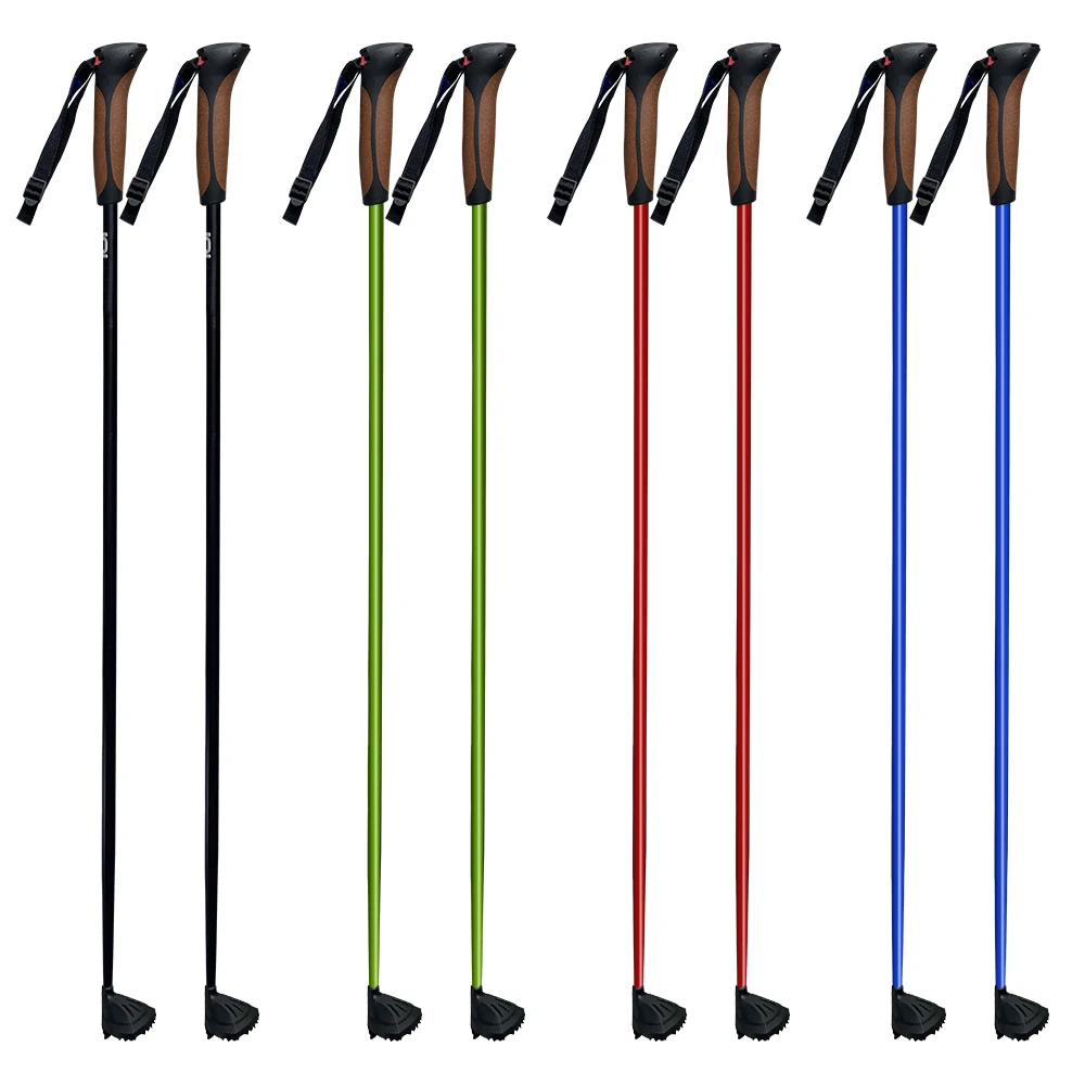 Brand partner manufacturer cross country alpine ski poles/nordic ski pole