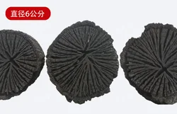 Artificial Carbon Barbecue Heating Smoke-Free Tea Cooking Flammable Oak Large Korean Barbecue Chrysanthemum Charcoal