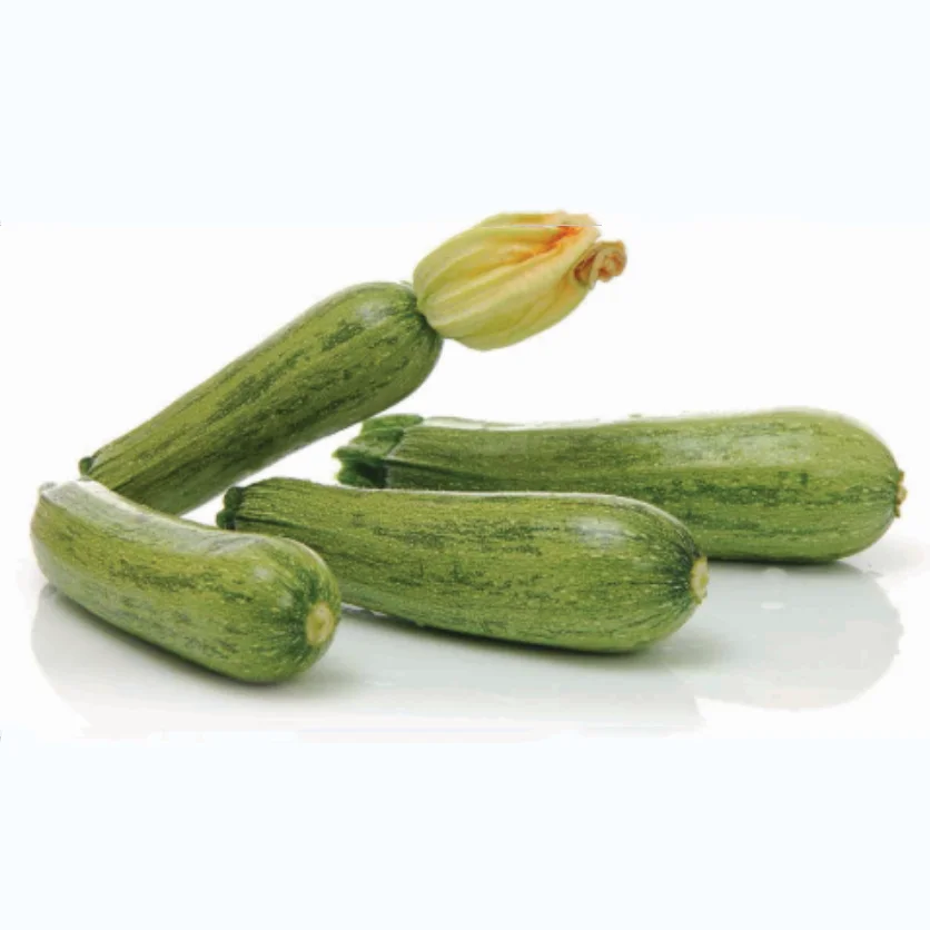 Caserta  F1 Hybrid  Green Caserta Type Vegetable Zucchini Squash Seeds