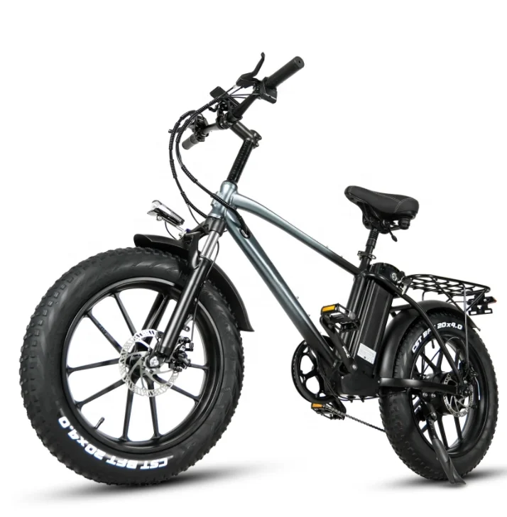 20 Inch Fat Tire 750W Motor Ebike 18Ah Lithium Battery Ebike Electric Mountain Ebike For Adult Electric Bicycle