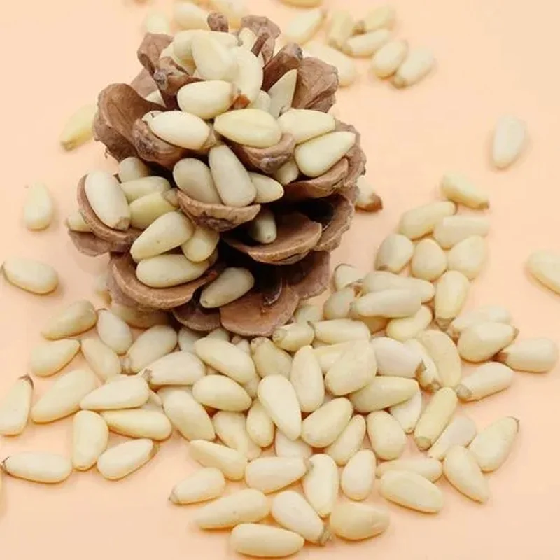 China Speciality Pine Nut Kernels As Food And Ingredient For Wholesale