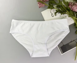Custom Logo Sexy Little Young Models Lady Underwear Cotton Assorted Colors Women Underwears Ladies Panty