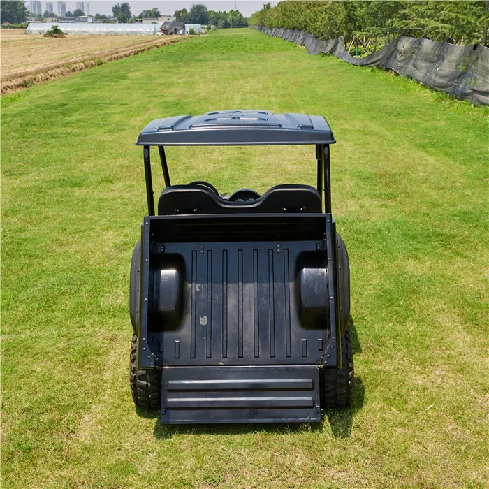 Best Side By Side UTV Electric vehicle For Farm