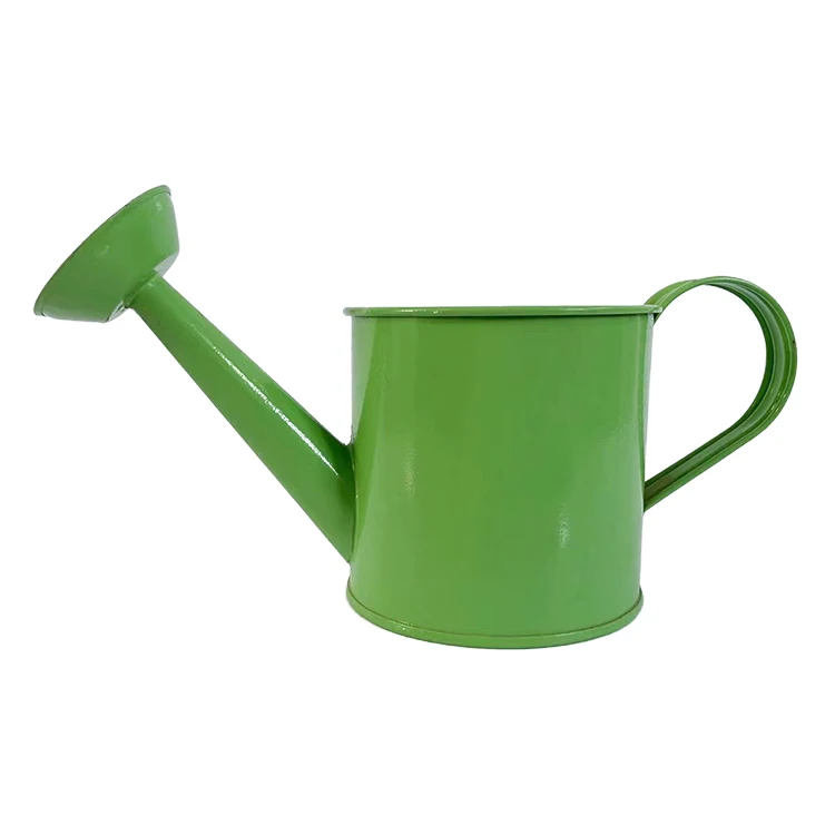 Indoor or outdoor customized 1 L 0.1kg galvanized steel mini watering can