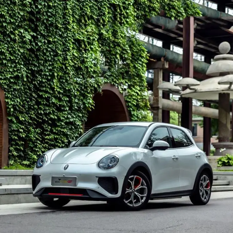 Safe And Fast Car Ora Good Cat Gt Eco Friendly Cars Cheap Best Looking Electric Cars