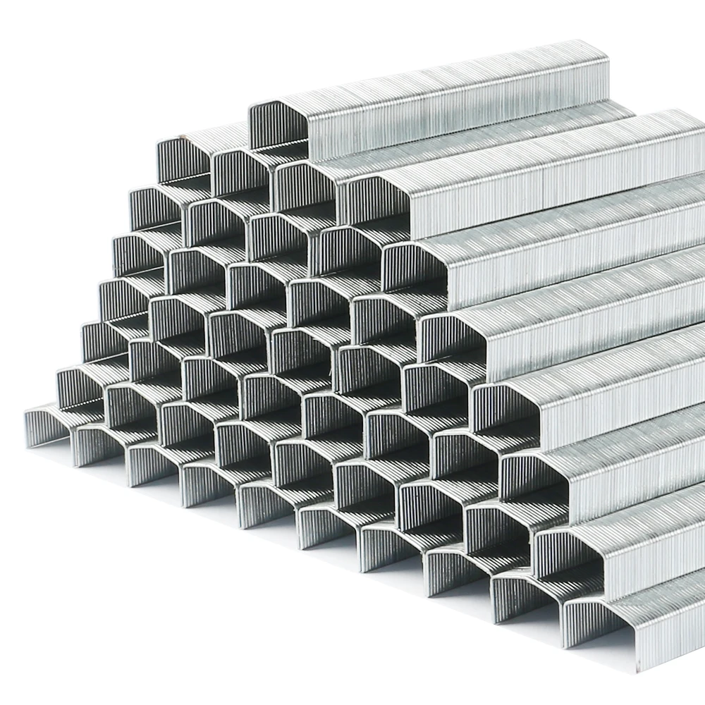 Stationery Eagle B8 Crown Shape Premium Staples 0.25 Inch Leg 1000 Pcs Per Box Pin Paper