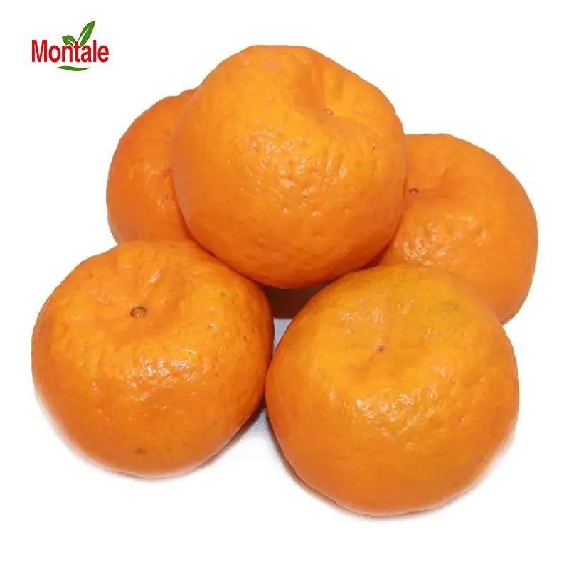 Montale China Wholesale Fresh High Quality Lokan Mandarin