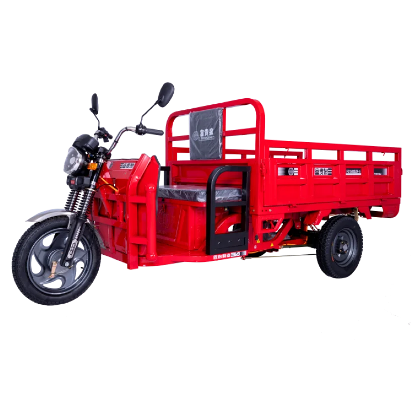 Лучшая цена с большой мощностью E-rickshaw заводская Прямая продажа трехколесный велосипед тяжелой загрузкой Stong Электрический для продажи