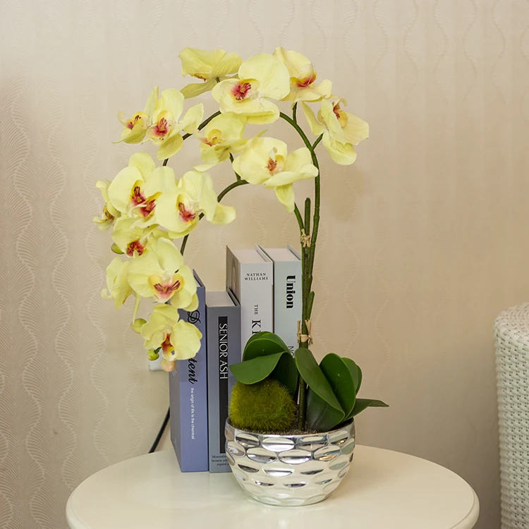 Home decorative yellow double branch phalaenopsis orchid artificial flower bonsai
