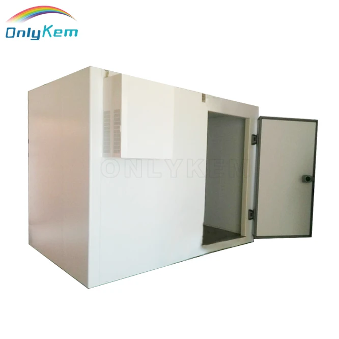 Замороженная холодильная камера для мяса и рыбы в гане