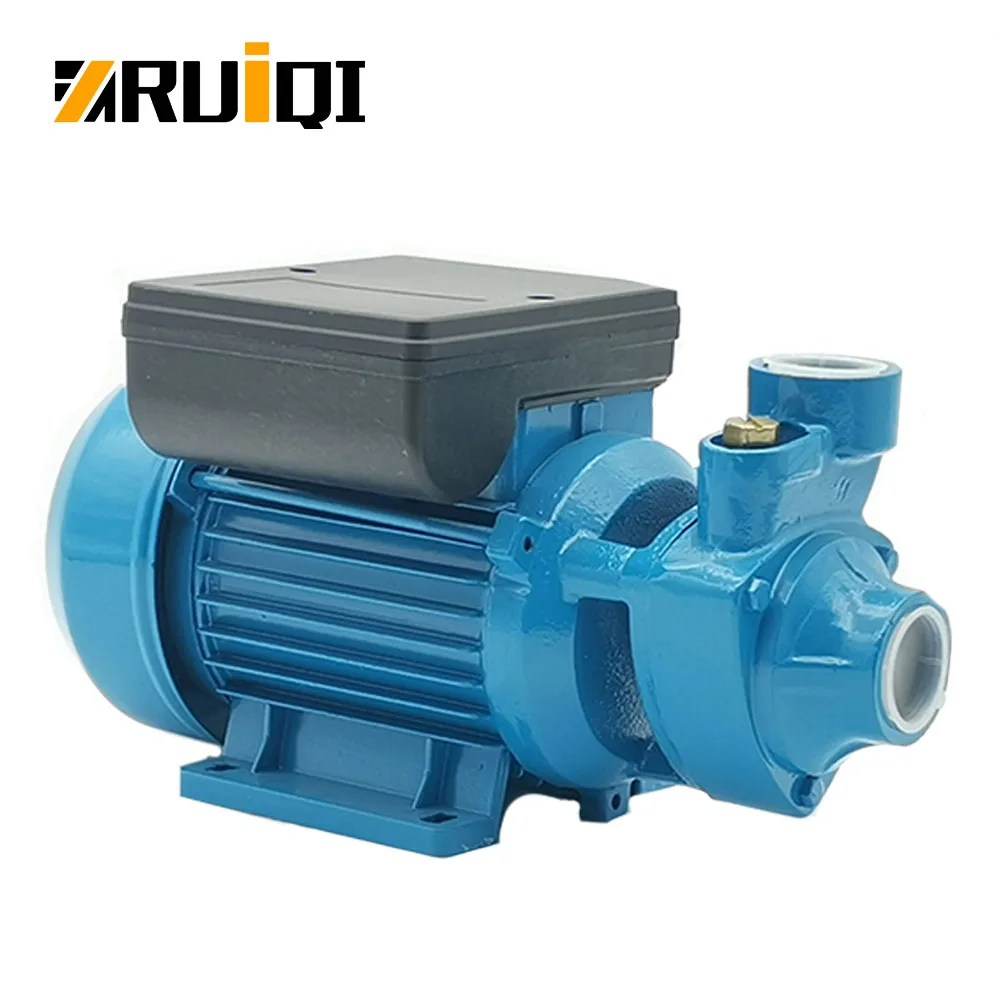 RUIQI IDB40 Water Pump 1/2HP High Flow/Head Pompa OEM Factory Price Peripheral Water Pump For House Bombas Pompe bomba de agua