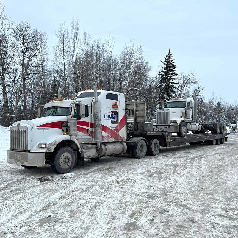 Newly manufactured 3 axle professional transport large equipment metro 50 ton trailer for sale