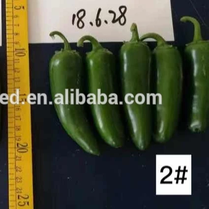 
Hybrid f1 Jalapeno Mexico chili Spicy Pepper Vegetable Seeds for Planting Tianyang2# 