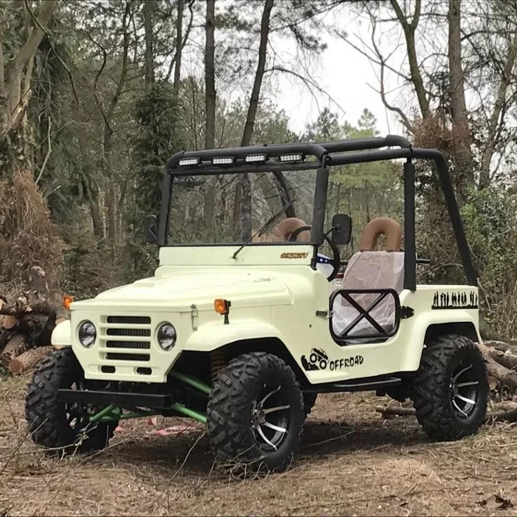 
Hot Sell 4 Seats Electric Jeep 3000W UTV Buggy For Adult 