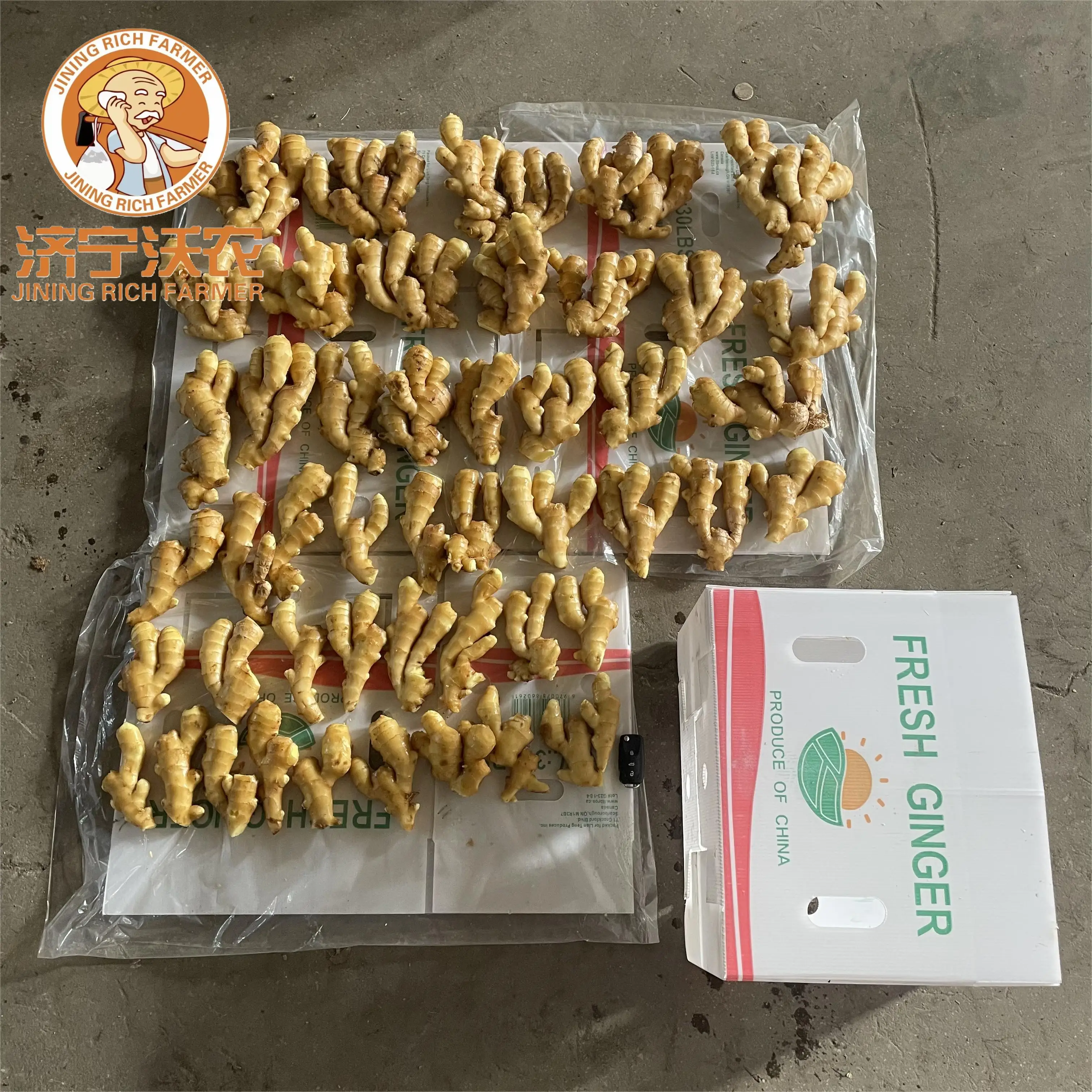 new crop fresh ginger best price fresh washed ginger best quality professional export organic