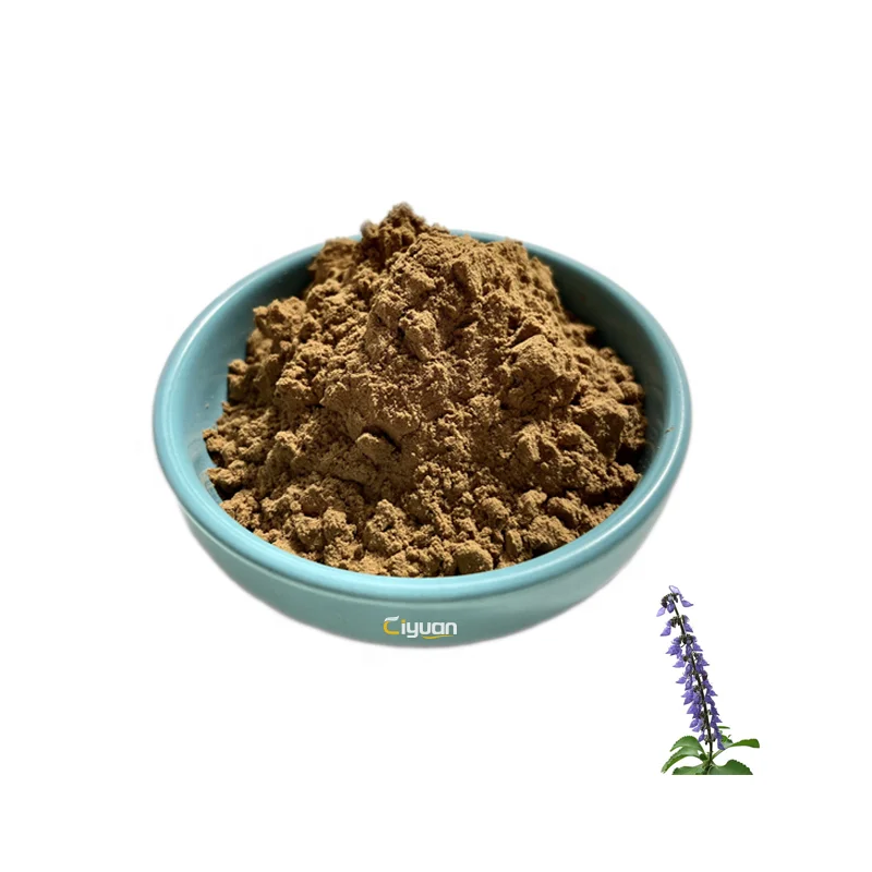 CiYuan Factory Supply Coleus 10% Forskohlii Extract Forskolin Powder With Bulk Price