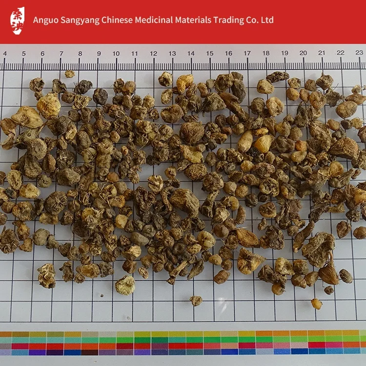 High-quality natural dried Shanzi mushroom for clearing away heat and detoxification