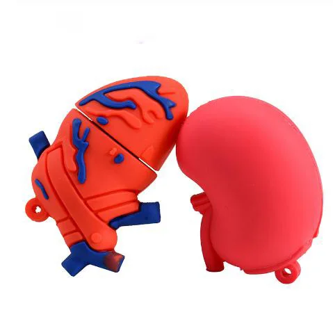 Cartoon Viscera Heart Lung Liver  Usb Flash Drive 2.0 3.0  64gb 32gb 16gb 8gb 4gb Cardiac Usb Stick  Human Organ Pen Drive