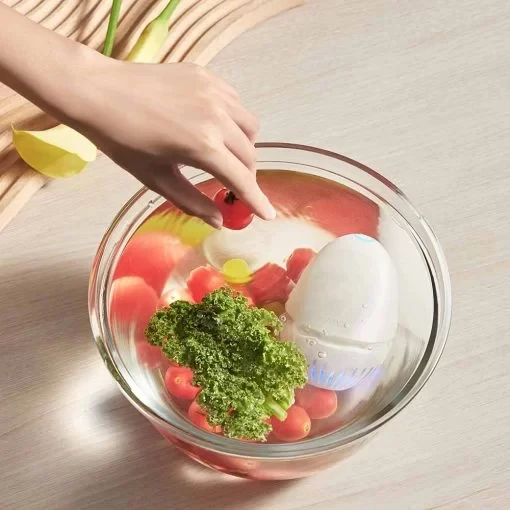 Hyperliving Manufacturer OEM Eraclean Home Use Fruits And Veget Cleaner Fruit Cleaning Machine Ozone Fruit Washer