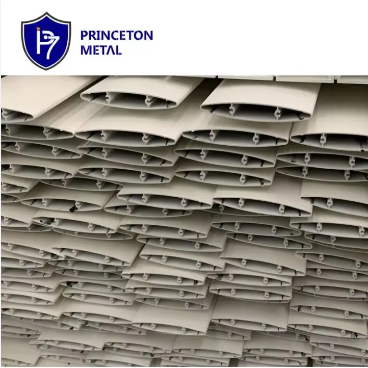 Princeton Metal Aluminum Profile 6063-T5 for Louver Fence Panels and Gate Customized Aluminum Extrusion
