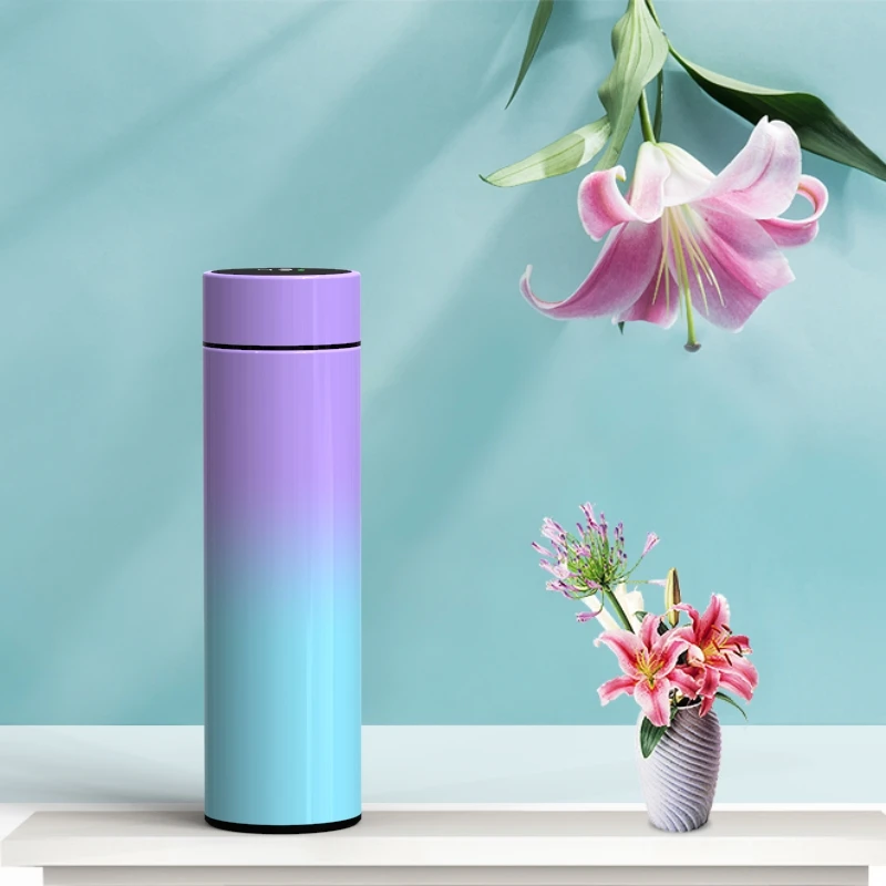 Stainless Steel Double Wall Vacuum Cup Intelligent gradient color Water Bottle LED Digital Temperature Display Smart Thermos