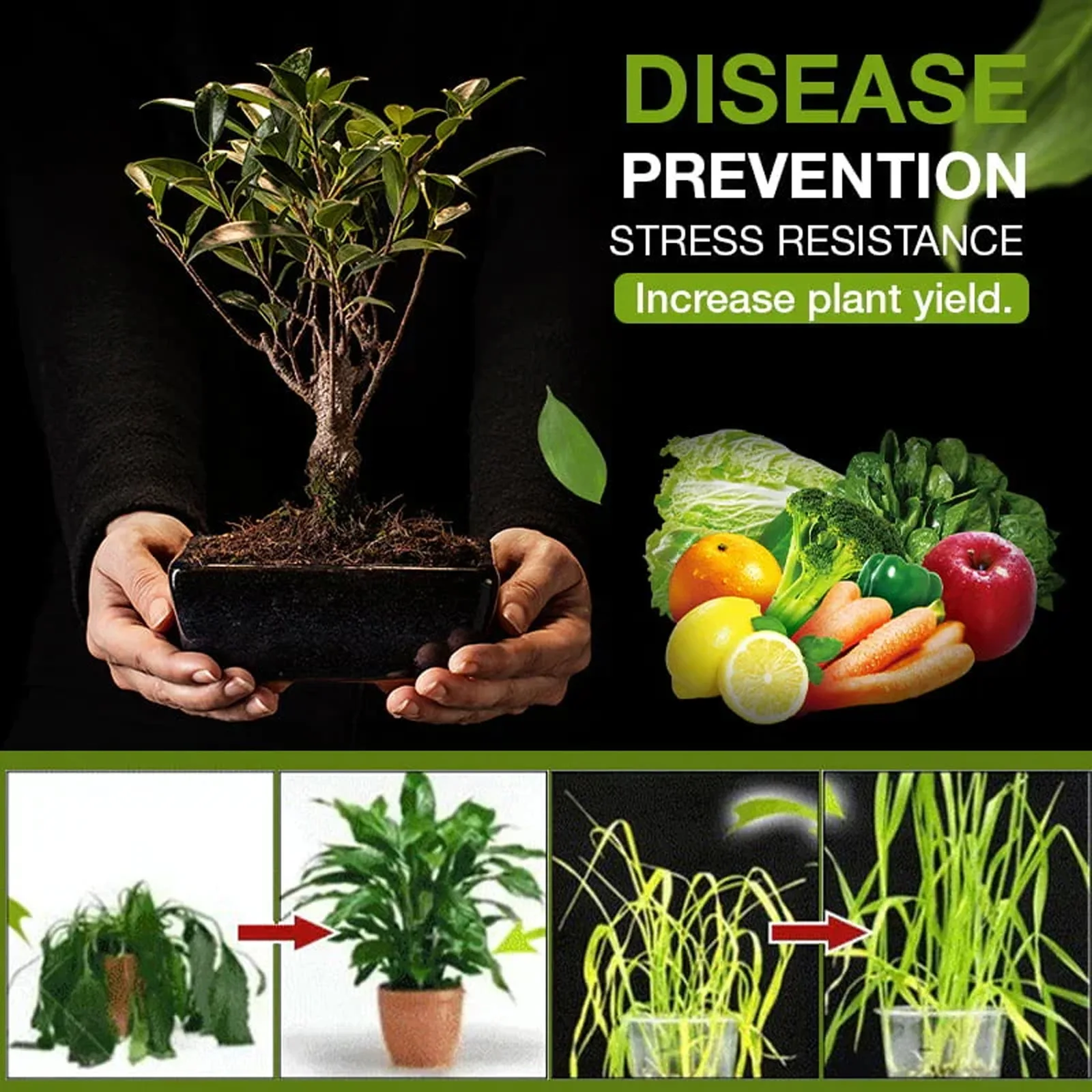 Yegbong Soil Nutrient Agent Promote Rooting Soil Nutrient Improving Powerful Effective Soil Activator