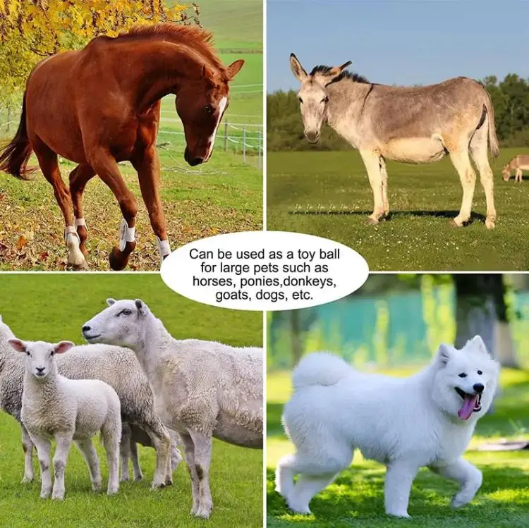 Herding Ball for Dogs Blue Heelers, Horse Ball & Ball Cover