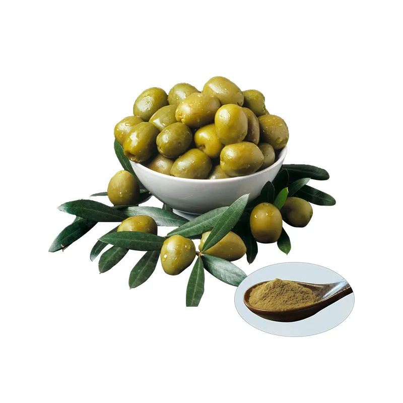 Olive leafs extract oleuropein powder Nuzhenide oleuropein Oleuropein olive leaf extract 100 natural organic