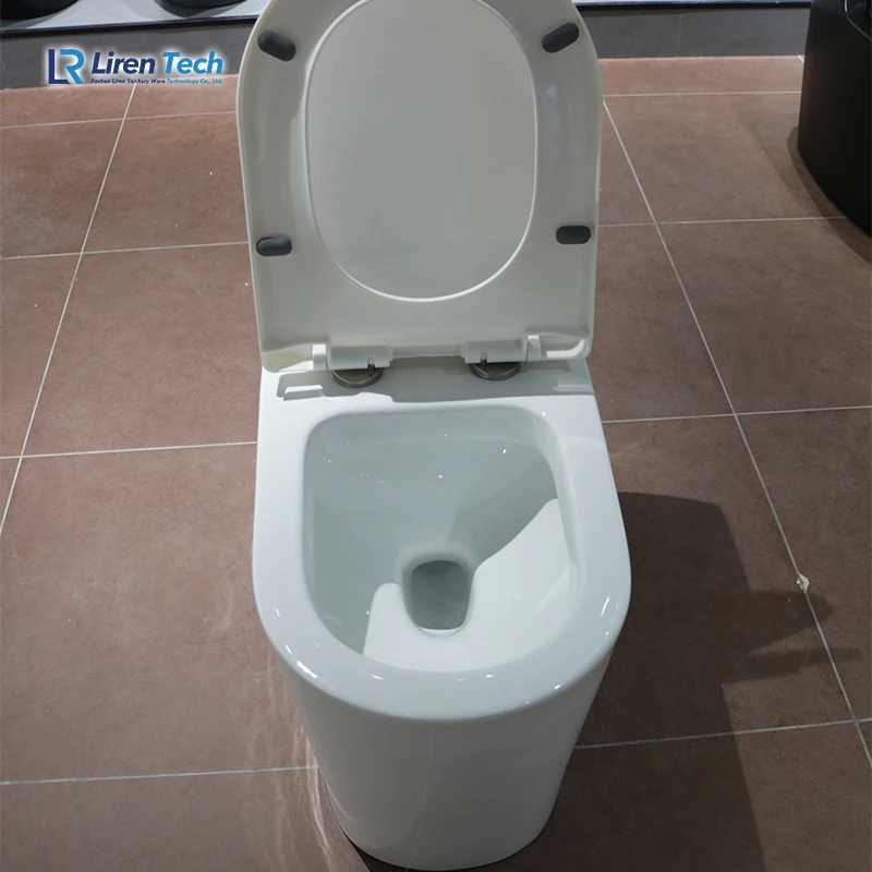 Оптовая продажа сифонный керамический туалет ресторан коммерческий роскошный современный дизайн Европейский матовый Сантехнический без оправы