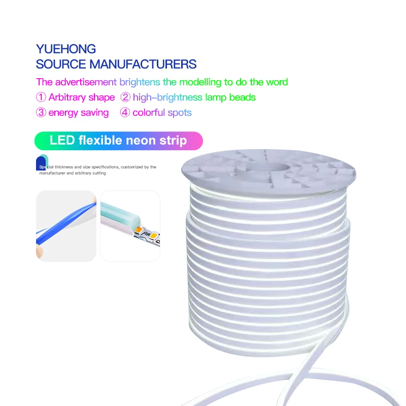 Neon Flex 110V 220V Outdoor Flexible 5050 SMD 50m RGB Waterproof IP65 Led Light Strip