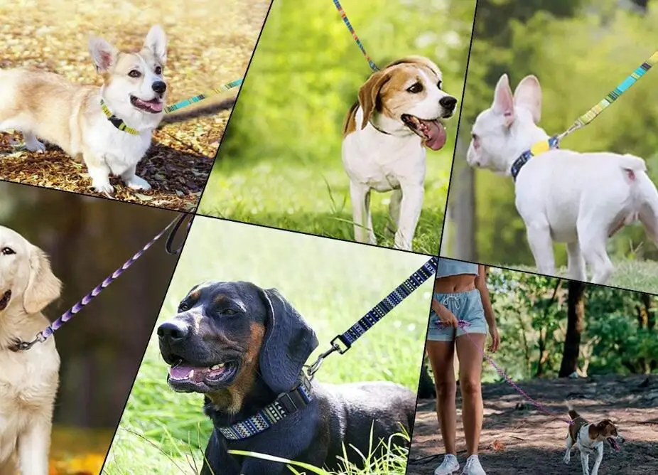 
New Product Unique Design Colors Nylon Dog Leash for Different Dog 