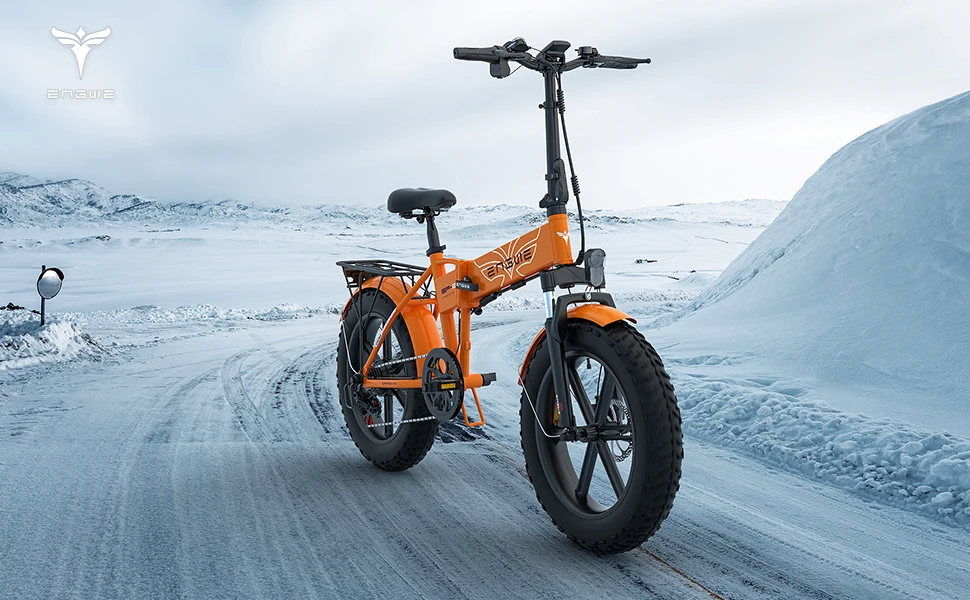 EU UK US Warehouse Ebike 20 In Fat Tire Electric Foldable Bike 750w 48v Electric Bike Battery