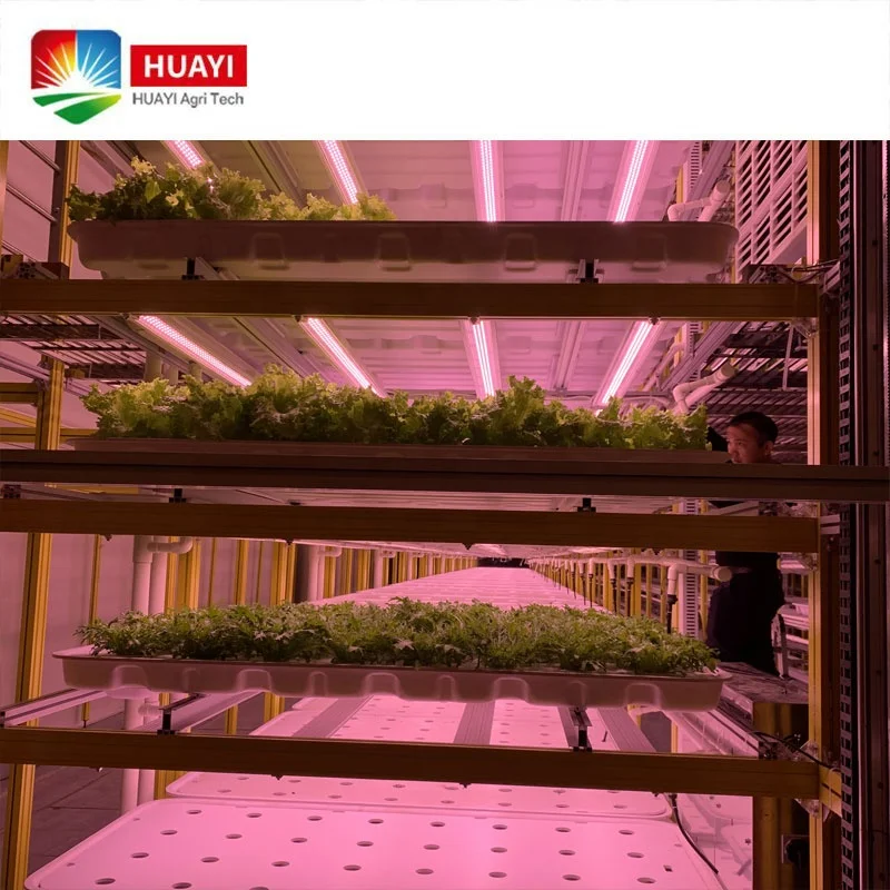 NFT/ Fodder Vertical Planting Hydroponic Farm Container with LED Lights