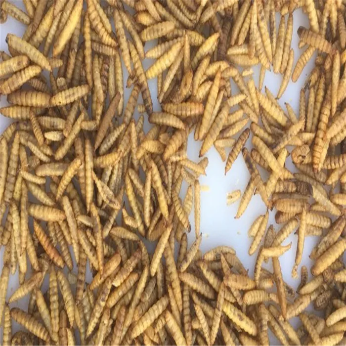 Popular trend best selling dried black soldier fly for poultry food animal feeding