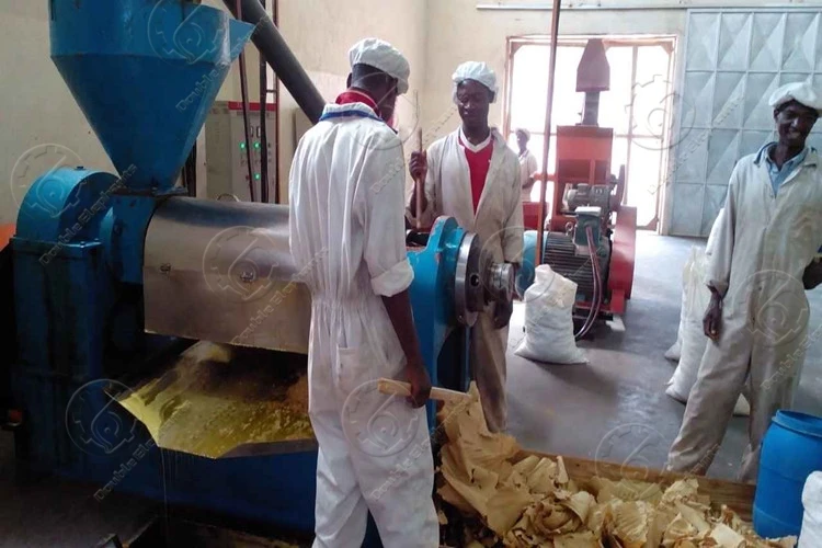 5-50TD Complete sunflower groundnut soybean vegetable oil production processing press machine plant