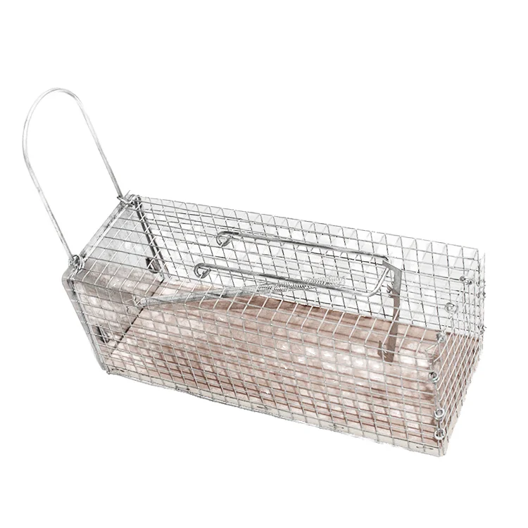 Eco-Friendly Custom PP Material Outdoor Pest Control Glue Trap Square Shape Light Design Plant Motif Attractive Wild Boar Rat