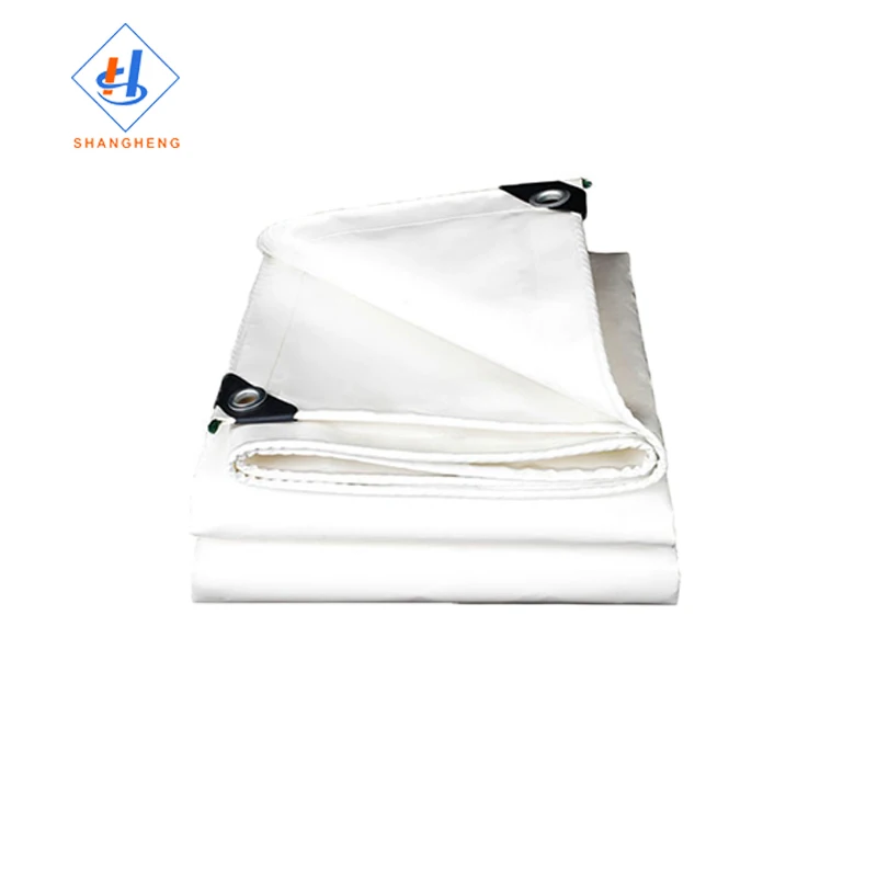 Plastic Tarp 20 X 20 Tarpaulin Pe Tarpaulin Sheet