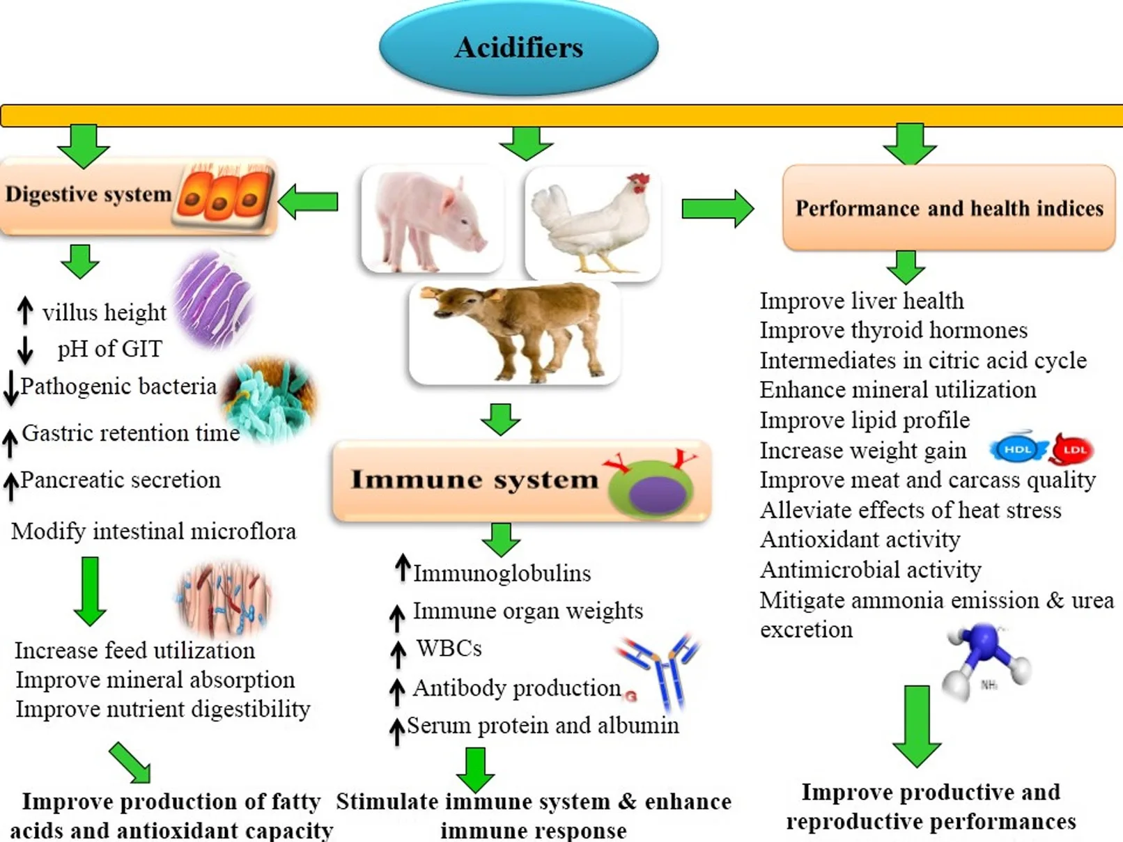 98% Feed Grade additives organic acid Calcium Formate in pig feed application to prevent piglets diarrhea