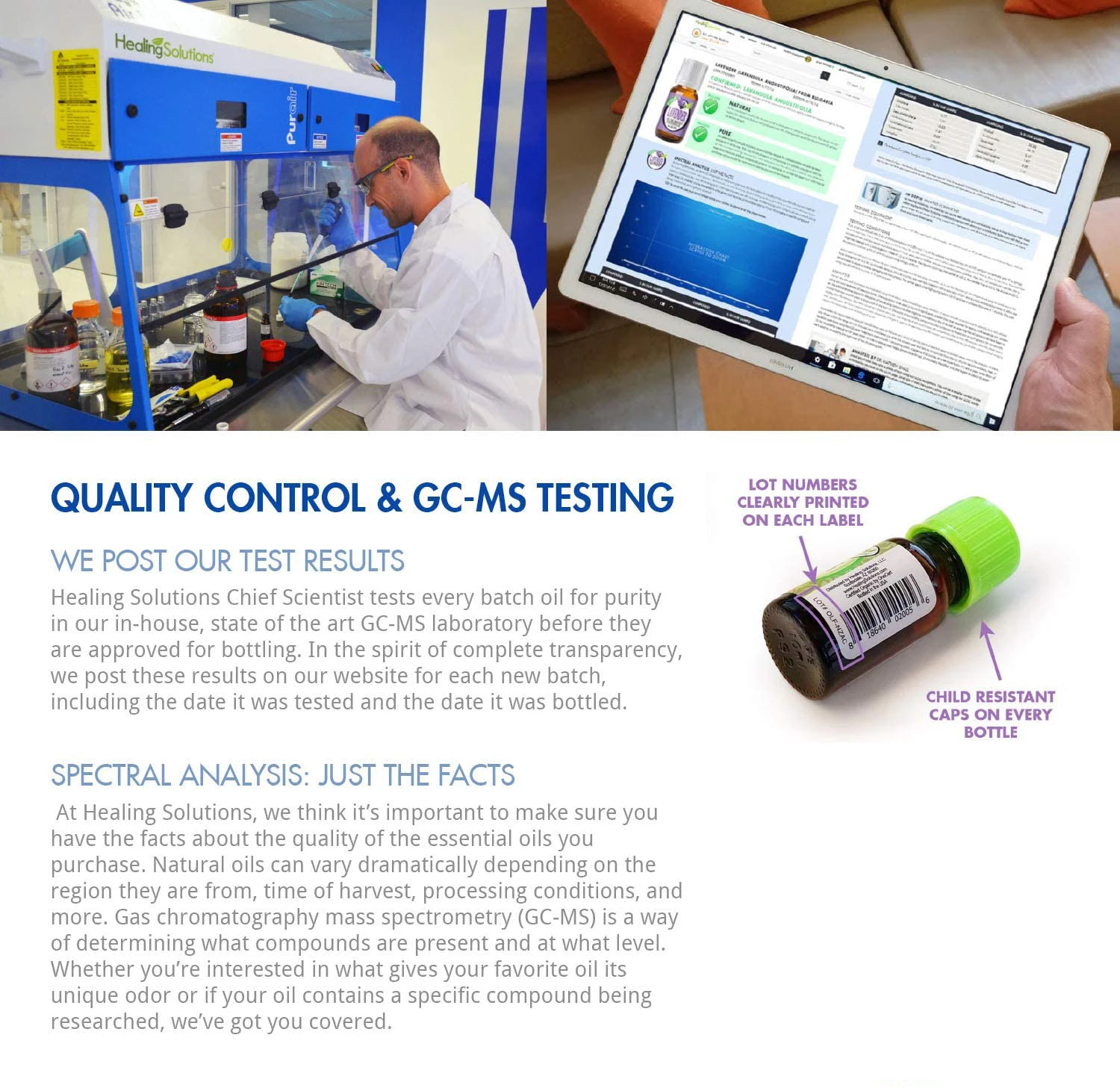 Pure Natural Ginger Essential Oil for Promote Blood Circulation and Relieve Body Massage Oil