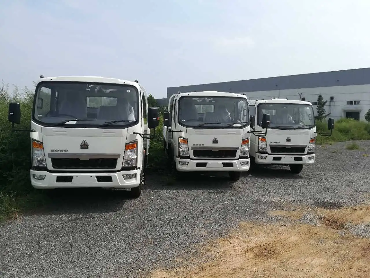 Китайский оригинальный грузовик Sinotruck HOWO 10 тонн 4x2 4x4 легкие грузовики цена для