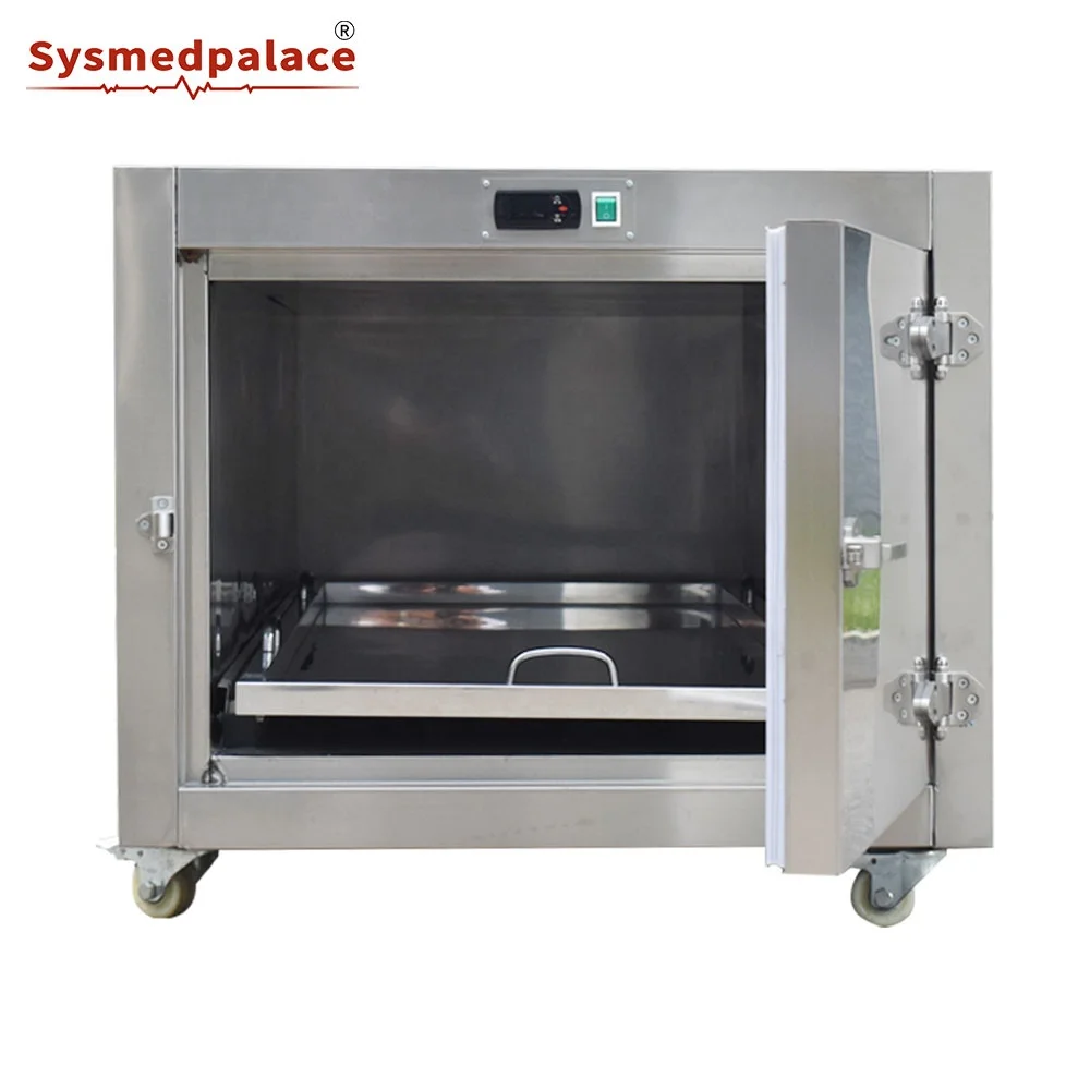 High Quality Body Cadaver Freezer In Stock Morgue Mobile Freezer Steel Morgue Freezer