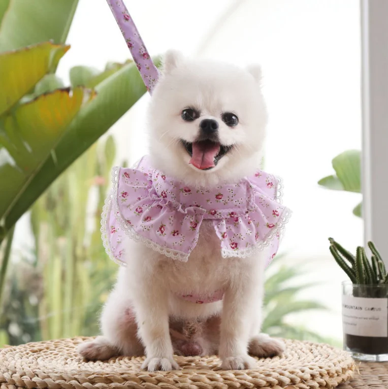 Wear Convenience Pet Clothing Chest Strap Traction Small Floral Lace Multiple Color Options Set Dog Harness