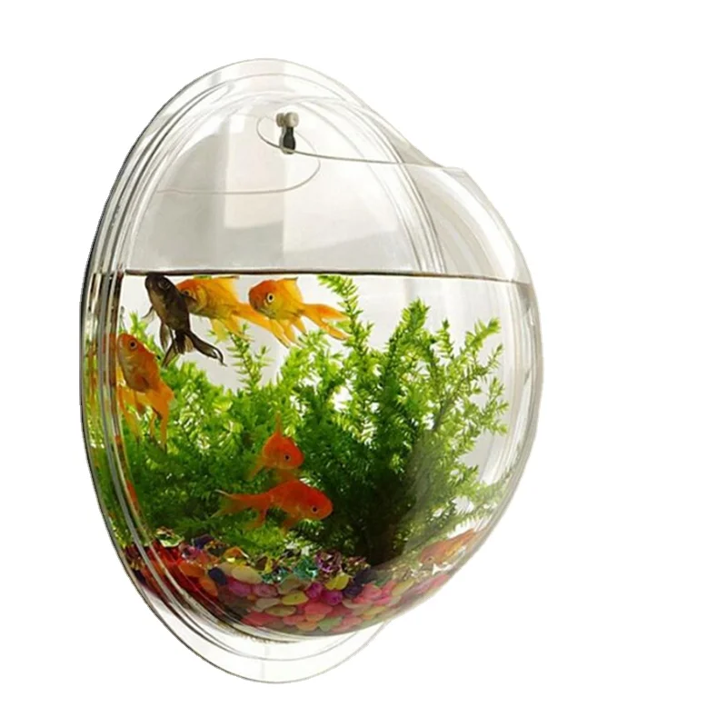 Transparent Acrylic Fish tank aquarium Wall Hanging Bowl for water plant Aquatic