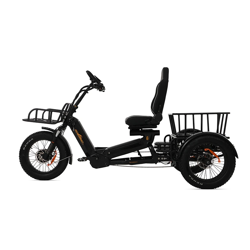 Long range three batteries 130AH electric tricycle off road kenda 20inch three tires e trike dual motors 2000W electric trike