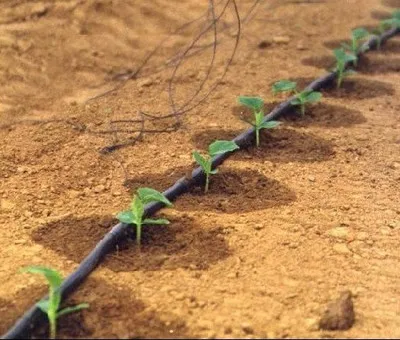 Other Watering & Irrigation 12mm/16mm/20mm diameter drip tape for irrigation system