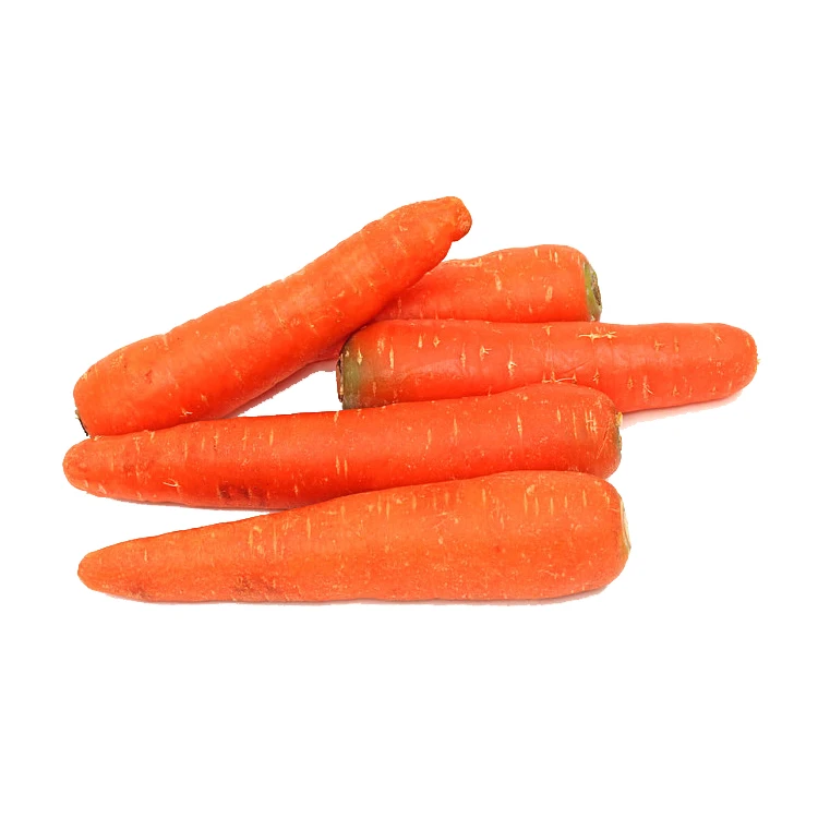 Wholesale Box Style Storage Packaging Fresh Vegetables Carrot Fresh Carrots Carrot Fresh